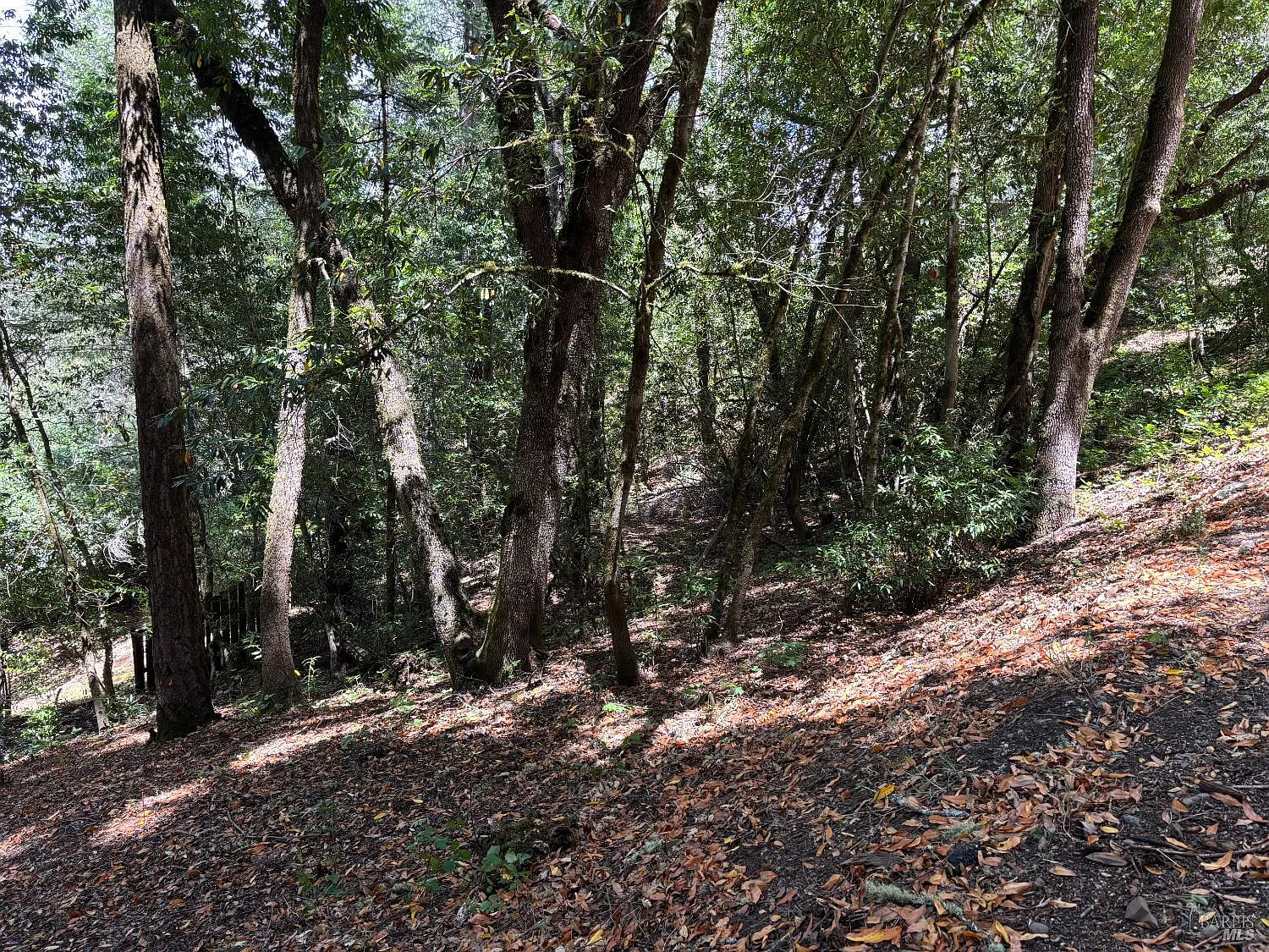9868 Hillside Drive - Photo 4
