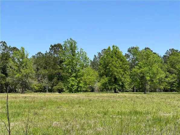 Saucier Rd, Ponchatoula, LA 70454
