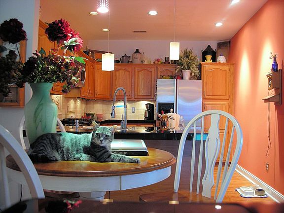 Kit and Breakfast