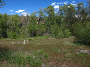 427 Allison Ln, Basalt, CO 81621