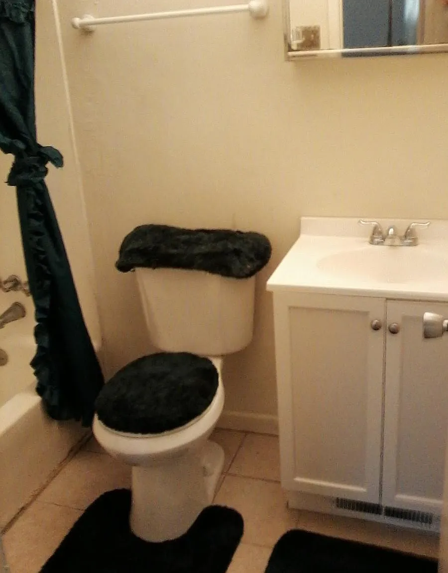 3 bed, 1350 sqft, $1,695 — Photo 3