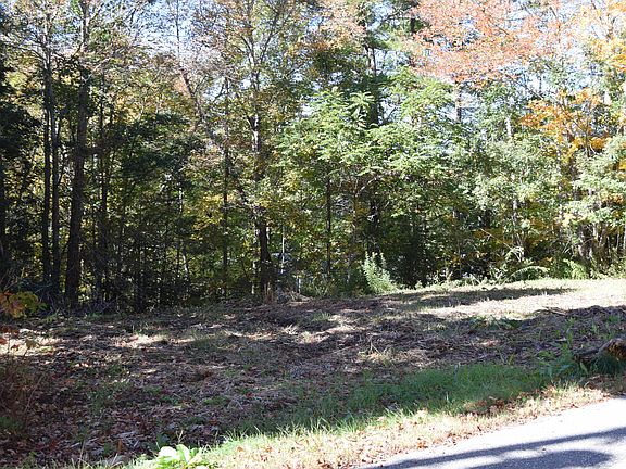 5th image of Lot #4B Coombs Road