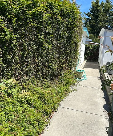 321 Tiger Tail Dr — Photo 15