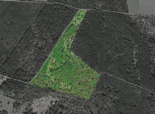 1039 Flat Rd, Milam, TX 75959