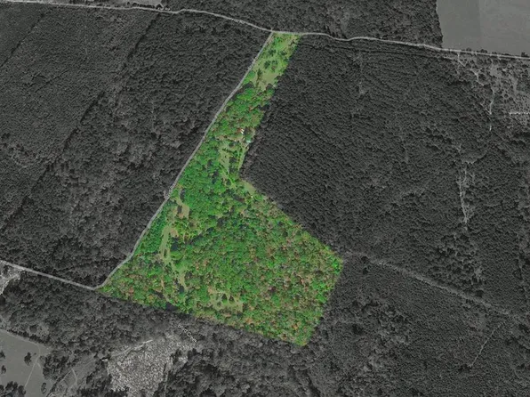 1039 Flat Rd, Milam, TX 75959