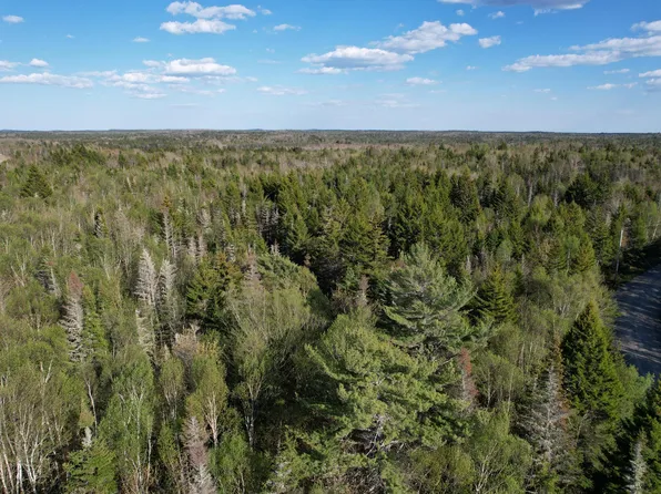 Lot 009 Off of Reynolds Brook Road, Whiting, ME 04691