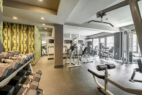 Rented by Bold Marketing | media 36