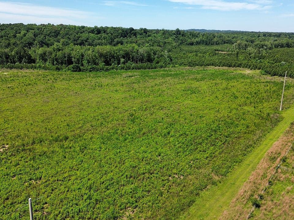 Dji Fly 20260604 114700 777 1780588027288 Photo Optimized