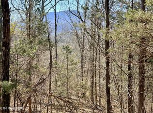 Sugar Loaf Rd, Sevierville, TN 37876