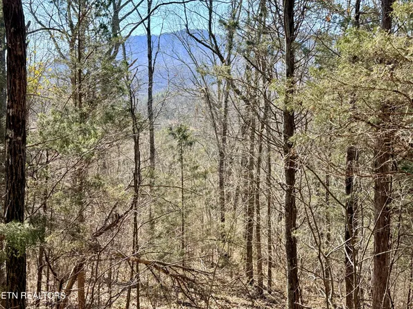 Sugar Loaf Rd, Sevierville, TN 37876