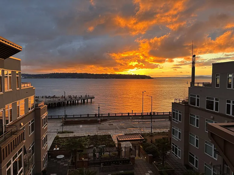 Alaskan Way — Photo 41