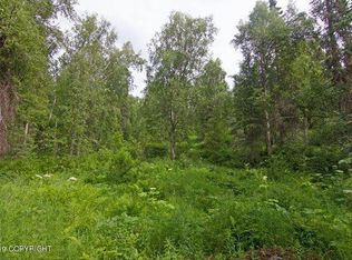 22047 E Rampart Loop, Talkeetna, AK 99676