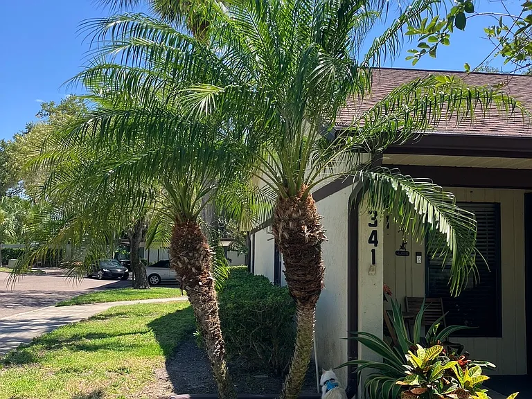 1341 Azalea Dr #1 — Photo 1