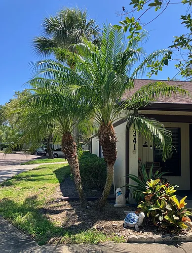 1341 Azalea Dr #1 Photo 1
