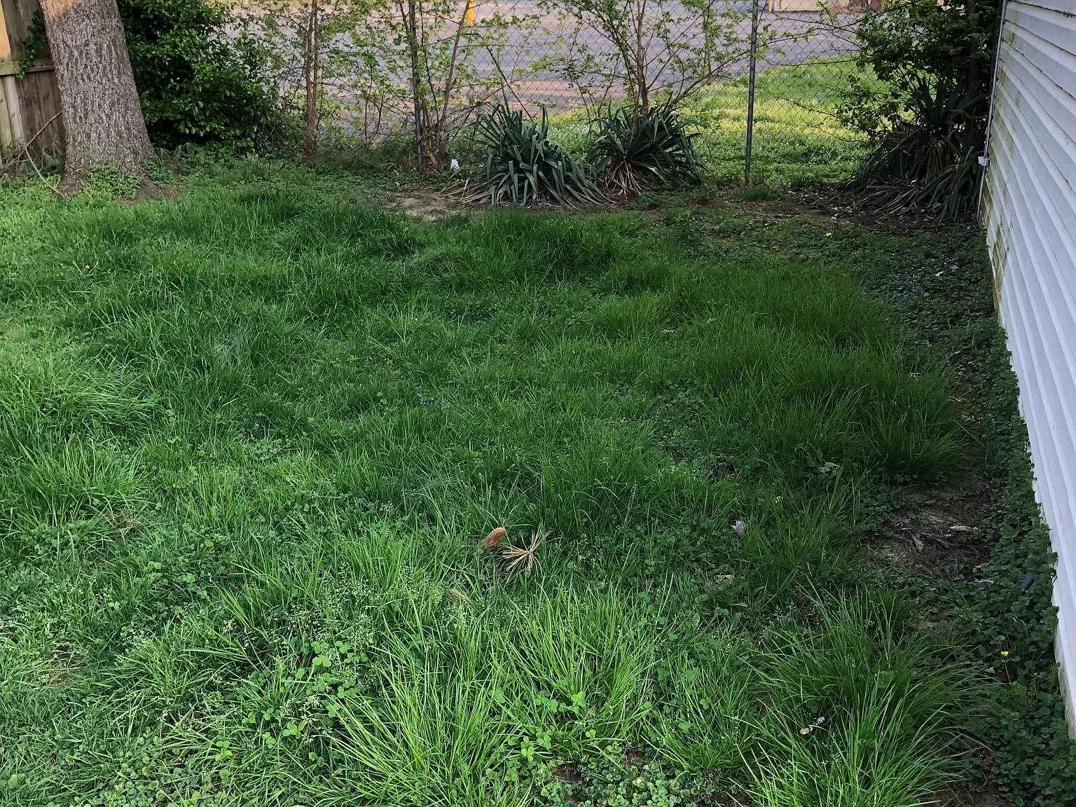 668 S Barbee Way — Photo 4
