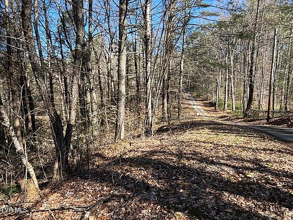 4th image of 445 Possum Valley Rd