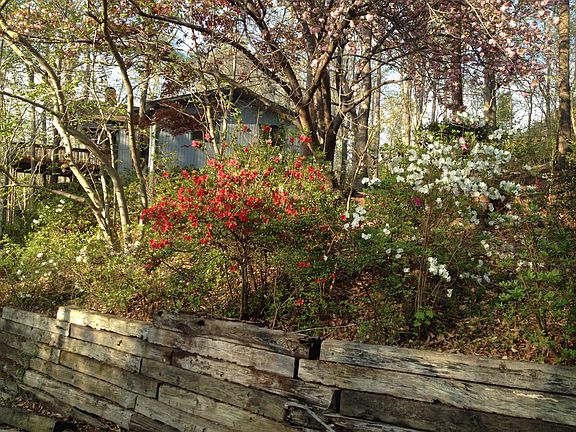 along drive way