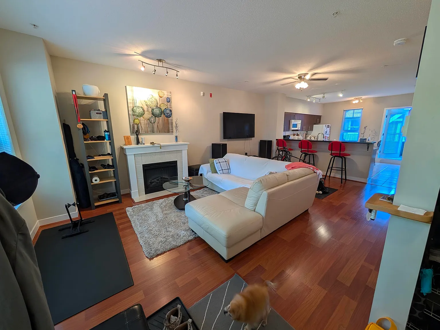 3 bed, 1279 sqft, $3,850 — Photo 1
