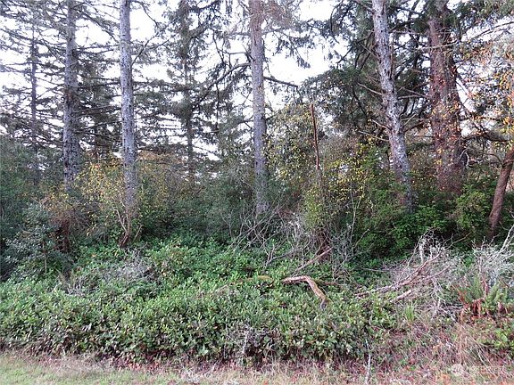 4th image of 569 Makah Avenue SE