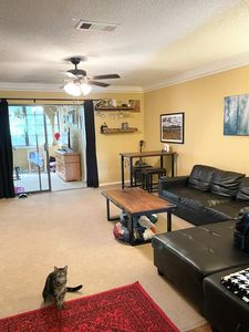 2810 SW 14th Dr, Gainesville, FL, 32608
