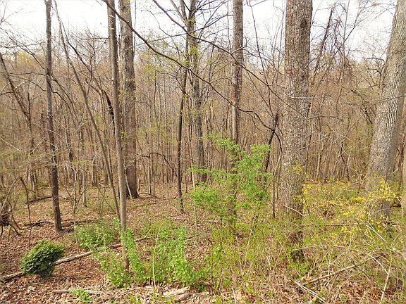 2nd image of 244 Chesterfield Pl Lot 223-23