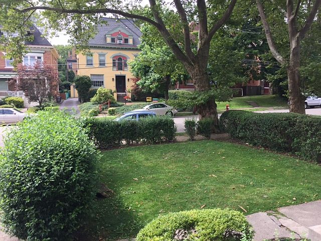 front garden
