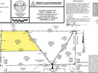 0 Field Rd, Mauk, GA 31058