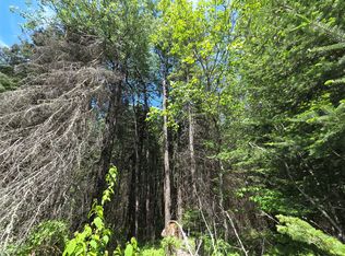 LOT 8 Solberg Lake Rd, Phillips, WI 54555