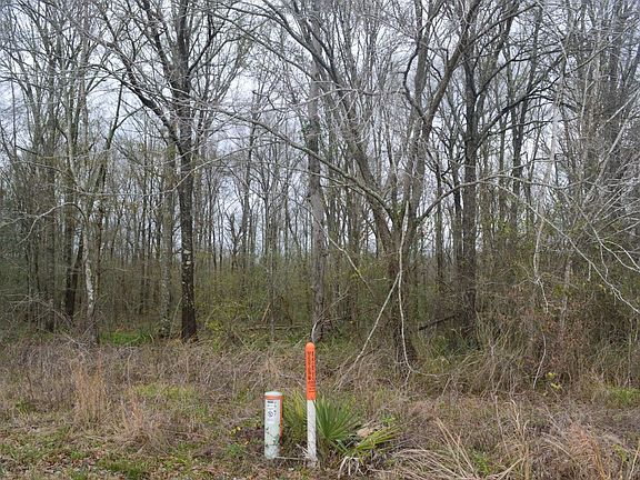 4th image of 1723 Highway 923