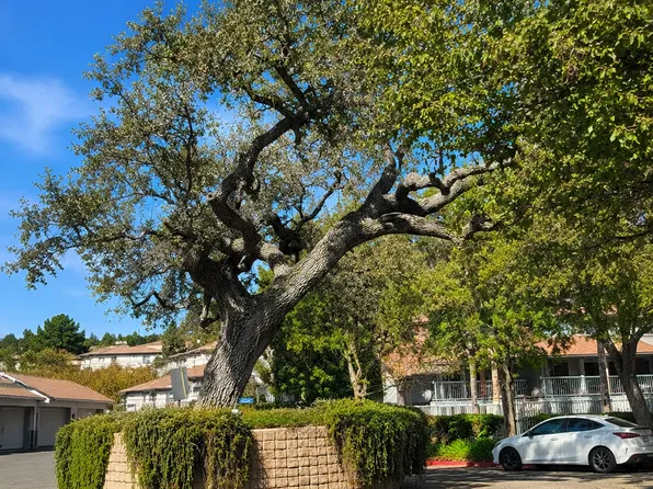 Crestwood Chalets Inc, 2222 Los Feliz Dr #107, Thousand Oaks, CA 91362