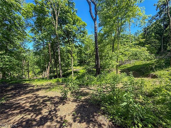5th image of LOT 4 Altamont Rd