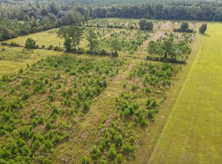 0 Thrift Loop, Nahunta, GA 31553