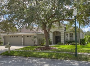 10209 Quails Landing Ave, Tampa, FL 33647