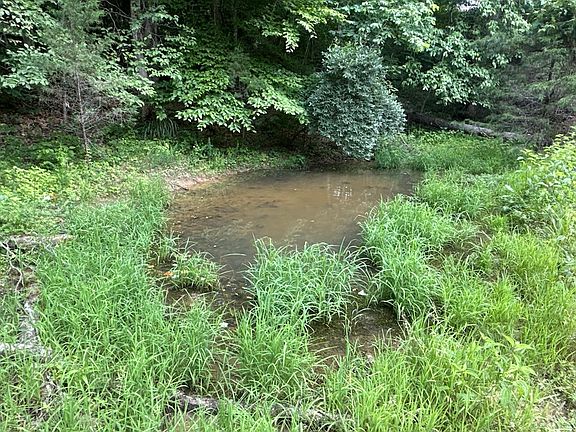 59th image of 131 Gibson Hollow Rd