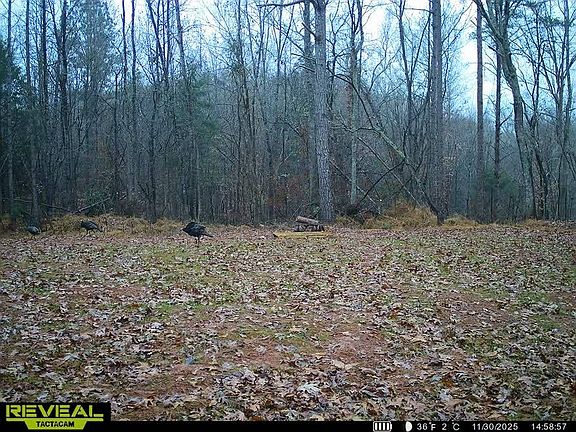 5th image of 0A Wright School Rd