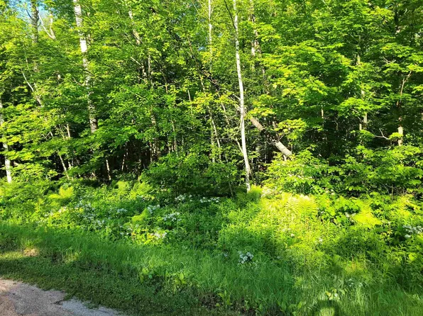 On KENTWOODS ROAD, Bryant, WI 54418