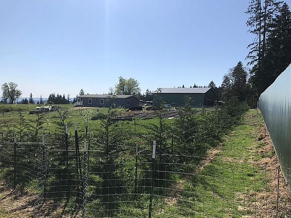 Privacy fence & living hedge