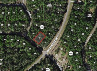 1197 E Odin Dr, Citrus Springs, FL 34434
