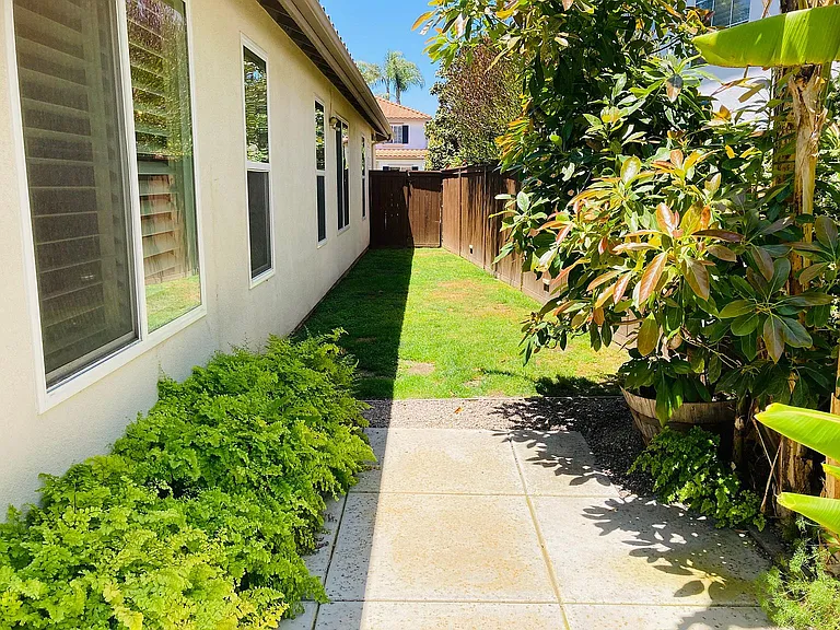 Sideyard.