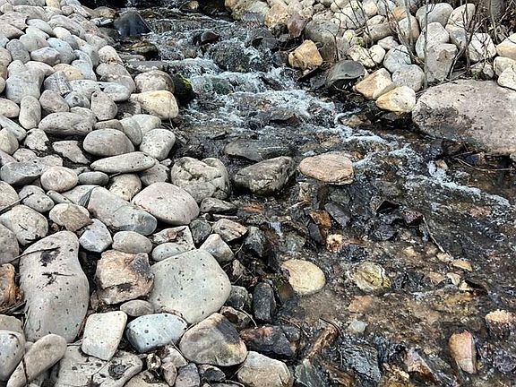 48th image of this home