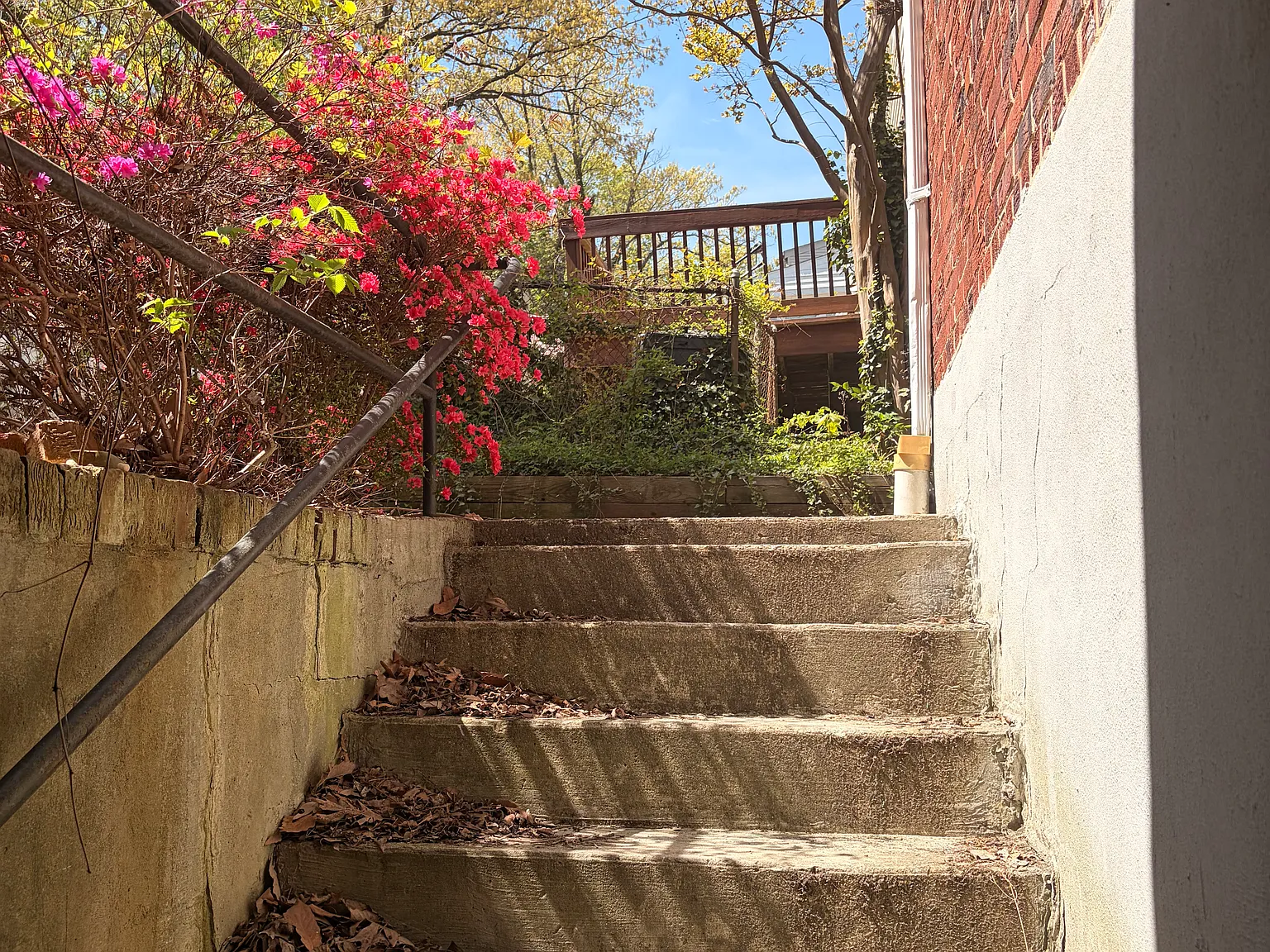 1 bed, 600 sqft, $1,595 — Photo 4