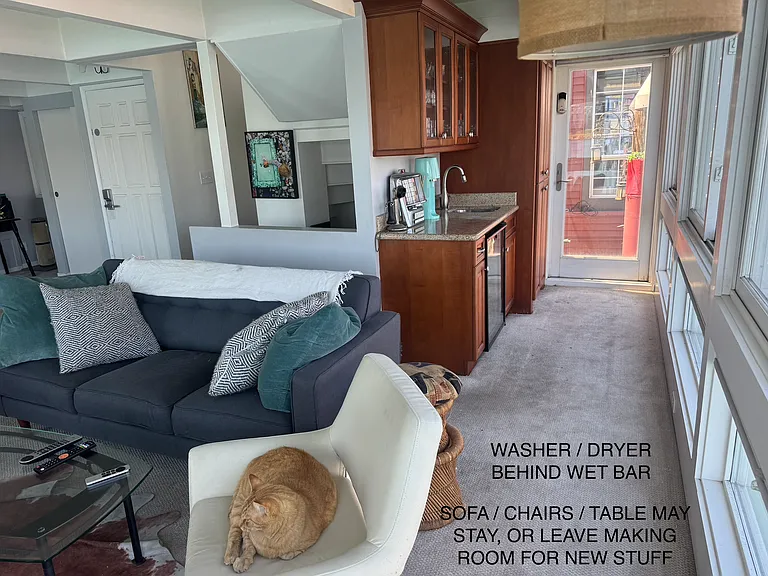 Cat not included