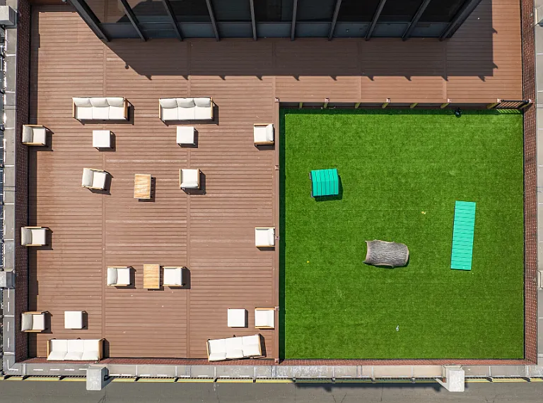 Dog park