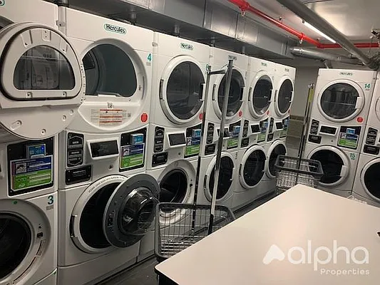 Rented by Alpha Properties NYC I LLC | media 12