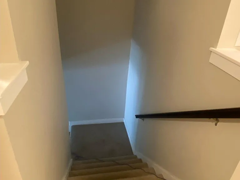 Wide steps with carpeting