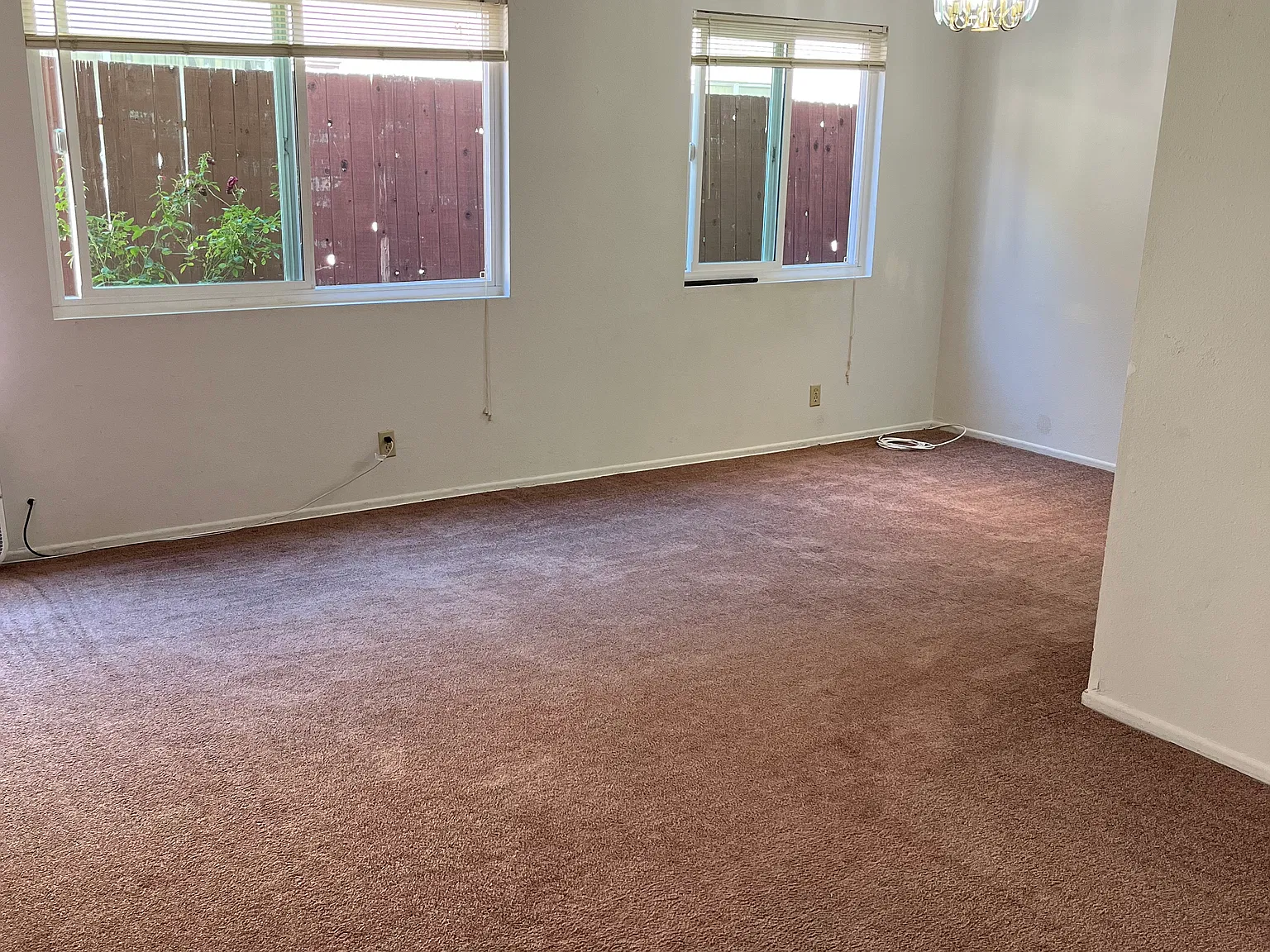 1 bed, $1,900 — Photo 2