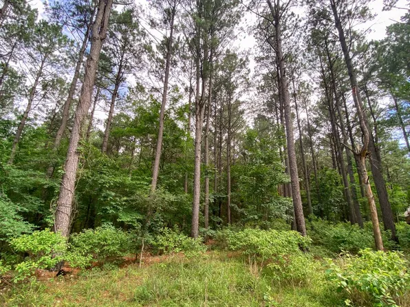145 Eagle Nest Ln, Broken Bow, OK 74728
