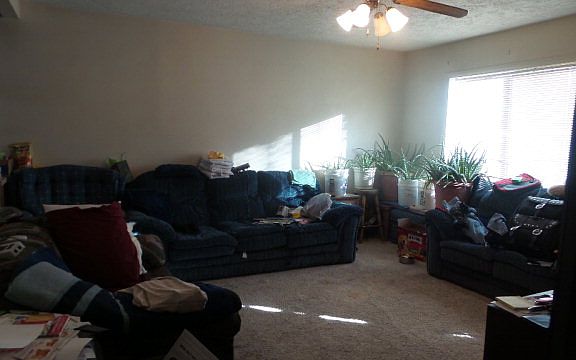 4th image of 211 Sunset Dr