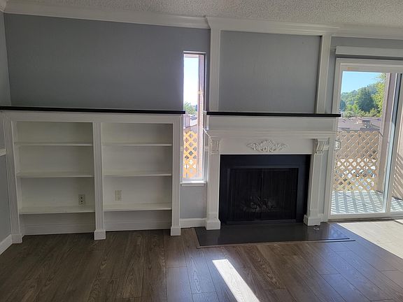 Fireplace with built in bookshelves
