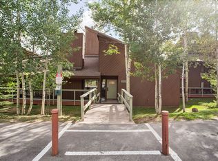 433 Wild Irishman Rd #1029, Dillon, CO 80435